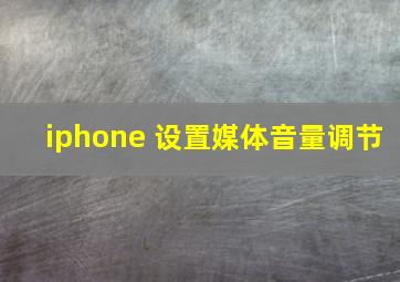 iphone 设置媒体音量调节